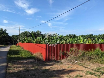 6 Ac Black Thorn Durian Farm In Port Dickson Negeri Sembilan