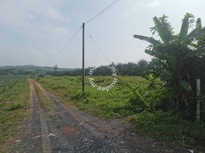 Agricultural land for sale in Napoh Jitra