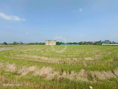 Agriculture Land For Sale Taman Ria Industry Area Sungai Petani Kedah