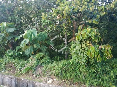 dusun durian tepi jalan besar pordickson ke Melaka