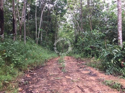 Freehold Agriculture Land For Sale At Inas,Johol,Kuala Pilah,N.S.