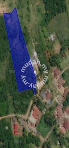 Lokasi Cantik untuk Projek lot banglo/Penternakan Paya Rumput, M.Tanah