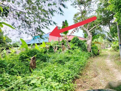 Tanah 1.57 ekar Kg Chengal Kadok Kota Bharu