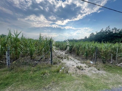 TANAH TEPI JALAN Jalan Kampung Jerang, Simpang Durian, Jelebu