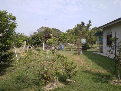 Agriculture Land, Kg Sg Pelepah, Kota Tinggi, Johor
