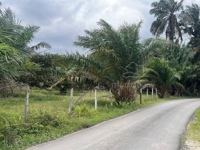 Freehold Bidor 22 acres Oil Palm Land Beside Main Road