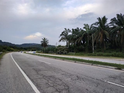 Land for Sale in Batu 8 Jalan Jeniang @ Gurun Kedah