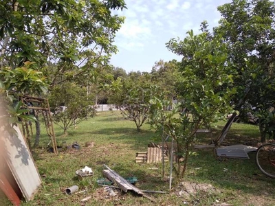 Residential Land, Kg Sg Pelepah, Kota Tinggi, Johor