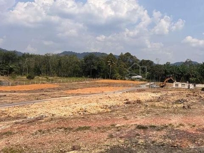 Tanah Lot Murah di Pekan Nanas, Pontian, Johor