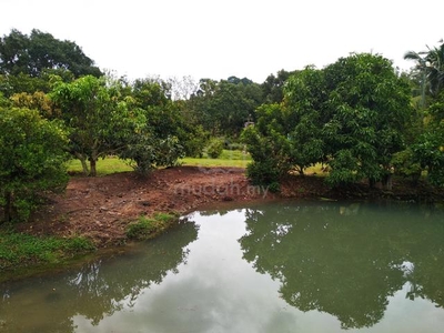 1.12 acres Orchard farm at Nusa Dusun Orchard Resort