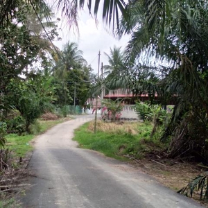 SESUAI BUAT RUMAH + KEBUN [1 Ekr FREEHOLD] Kebun Sawit Chabau Melaka