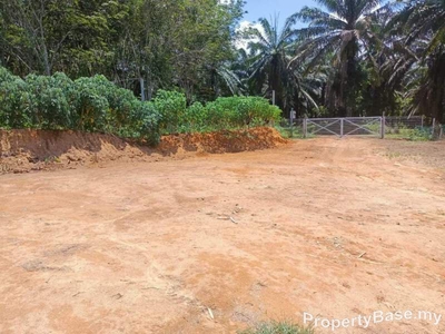 Agricutural Land For Sale