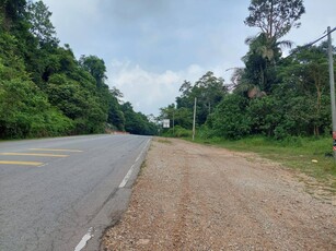Land For Sale @ Tepi Jalan Utama KL-Kuantan, Maran, Pahang