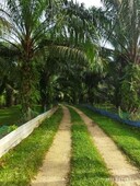 1.5 Ekar Tanah Pertanian Sungai Buaya Hulu Selangor. Rawang