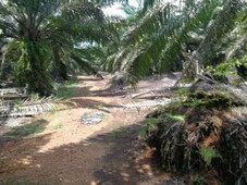 16.47 Acres Agriculture Land At Sungai Balang,Muar