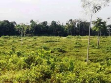 25 Acres Agriculture Land At Dungun,Terengganu