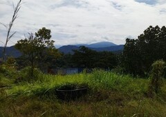 2.67 Ekar Tanah Dusun Puncak Bukit Serendah Hulu Selangor