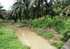 28.187455 Acres Agriculture Land At Renggam, Kluang,Johor