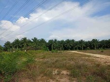 3.5 Acre (Beside Mainroad) Agriculture Land At Pekan Nanas,Pontian