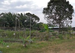 6.65 Acres Vegetable Farm At Ayer Hitam,Batu Pahat