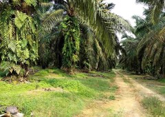 8.625 Acres At Tangkak,Johor