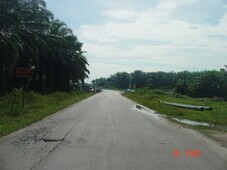 Agriculture Land For Sale In Telok Panglima Garang
