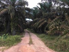 (Beside Mainroad) 10.47 Acre Agriculture Land At Layang-Layang,Kluang,Sedenak