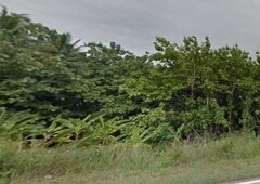 [FOR SALE] Agriculture land at Mile 25