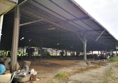 Industrial & Agriculture Lot(Sawmill Factory)Kuala Pilah N9