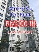Molek ria apartment LOW DEPOSIT unit for rent