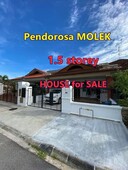 penderosa molek 1.5 storey house for sale