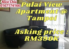 Pulai View Apartment @ Tampoi CORNER unit for sale