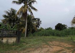 (Residential Area) 0.5 Acres Agriculture Land At Sedenak,Johor