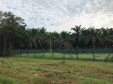 ?Zoning Industry?301 Acres Agriculture Land At Kuantan,Pahang