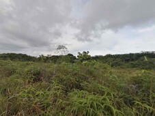 (Zoning Residential) 3 Acres Agriculture Land At Ayer Hitam, Johor