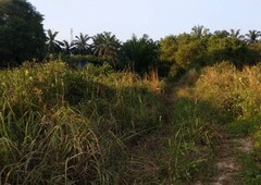(Zoning Residential Land) 122.8 Acres Agriculture Land At Jasin,Melaka