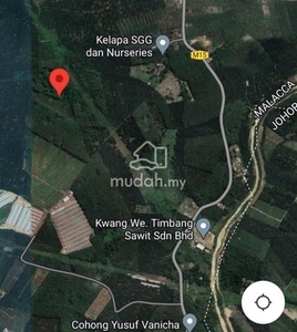 Agriculture Land For Sale Mukim Chohong, Jasin Melaka