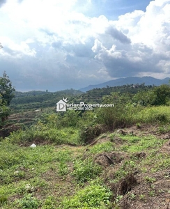 Agriculture Land For Sale at Hulu Selangor