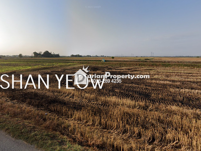 Agriculture Land For Sale at Penaga