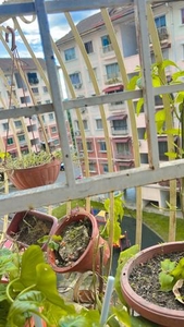 BOOKING 1K Apartment Latan Biru Sek 11 Kota Damansara
