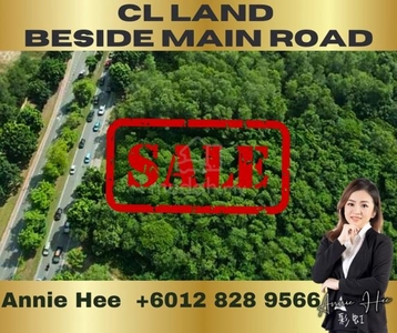 Frontage CL Land Beside Main Road FOR SALE