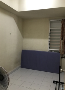 Single Room for Rent @ Sterling Condo, from Jan 2024