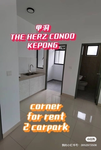 The herz condo for rent, partially furnished, 2 carpark