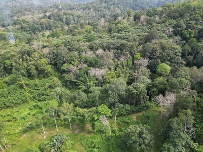 MAIN ROAD Agriculture Land Kampung Sungai Lui Hulu Langat