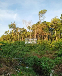 Agricultural Land Endau-Penyabong Johor
