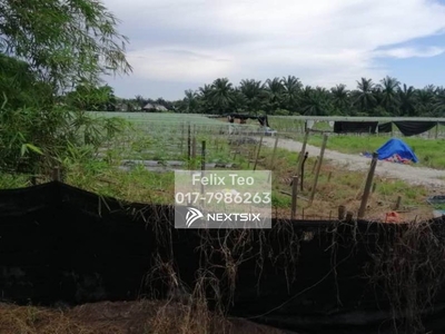 Pekan Nanas 3.8 Acre Agriculture Land for Sale