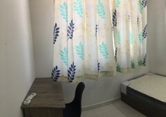 Single Room @ Sri Saujana near Komtar, First Avenue, Weld Quay n Jen Hotel