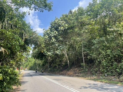 2 No Agricultural Land Front Main Road near A’Famosa Res & Tampin Town