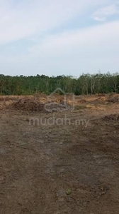Tanah Dusun Durian