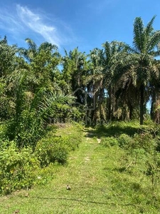 Tanah Dusun & Rumah Kediaman di Kuala Pilah